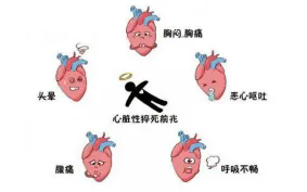 640.webp (3).png