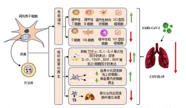 640.webp (3)_副本.png
