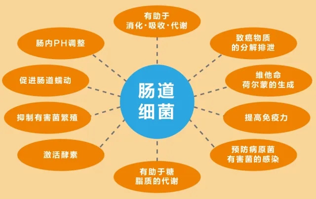 640.webp (3)_副本.jpg