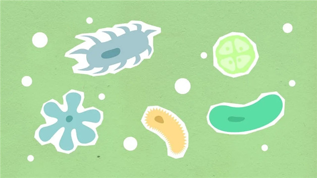 640.webp (16)_副本.jpg